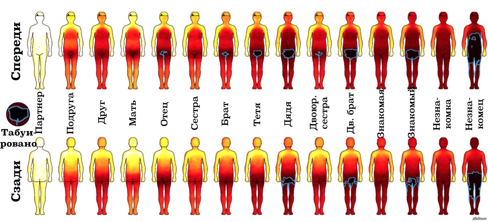 Мужские эрогенные зоны. Тепловая карта эмоций человека. Самые чувствительные зоны тела. Чувствительныии части тела у девушек.