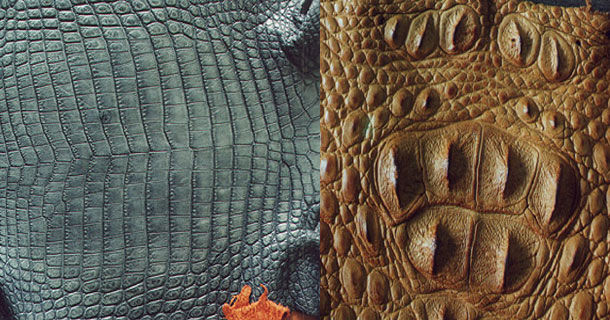 Изделия из кожи крокодила. Как отличать подделку от натурального изделия., фото № 4