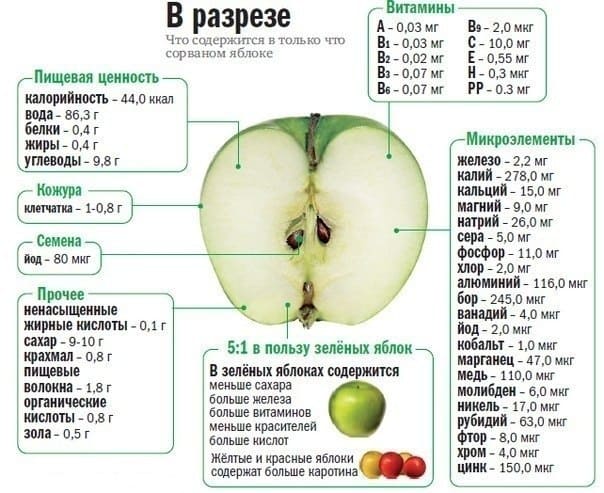 Яблоко в разрезе