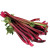 rhubarb-stem