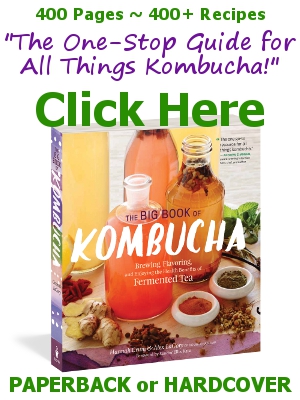 Buy The Big Book of Kombucha from KKamp, "The one-stop guide for all things Kombucha!"